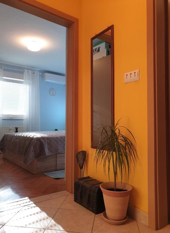 Apartman Silvija 오시예크 외부 사진